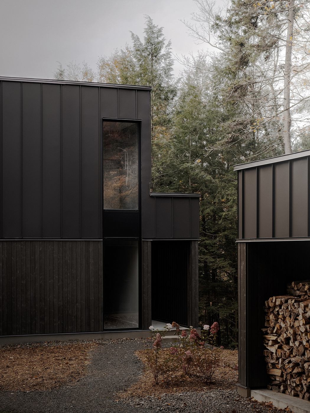 Modern black cabin nestled in forested setting, with glass windows and stacked firewood.