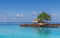 013-w-maldives-resort-celebrates-maldives-unparalleled-natural-beauty.jpg