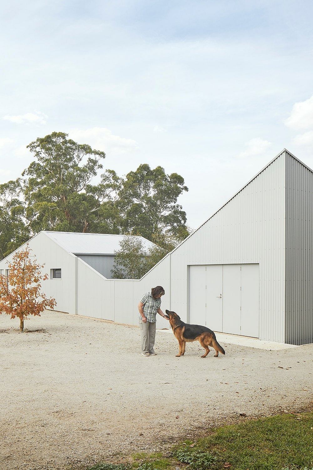 Modern barn-style buildings with clean lines and metal siding, set against a wooded backdrop.