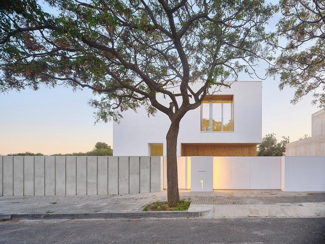 A modern, minimalist house with a large tree and a glass wall at the entrance.