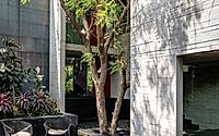011-trees-sliced-through-recasts-family-living-around-open-courtyards.jpg
