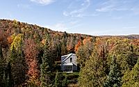 015-scotch-chalet-blends-into-the-forest.jpg
