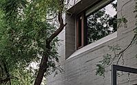 022-ms-house-brutalist-concrete-wrapped-around-nine-ancient-neem-trees.jpg