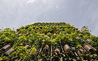 017-flying-vegetation-organizes-family-life-across-five-elevated-floors.jpg