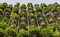 018-flying-vegetation-organizes-family-life-across-five-elevated-floors.jpg